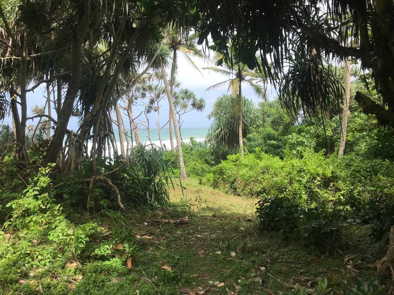Beachfront land for sale desirable plot on the beach near Talalla Sri