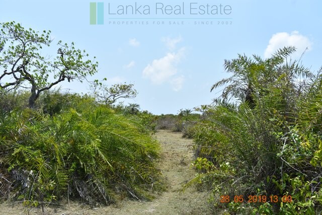 Fourteen acre lagoon front near Kalpitiya