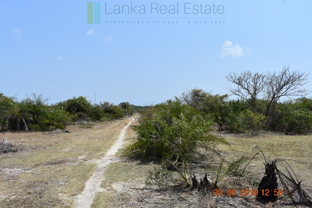 Fourteen acre lagoon front near Kalpitiya