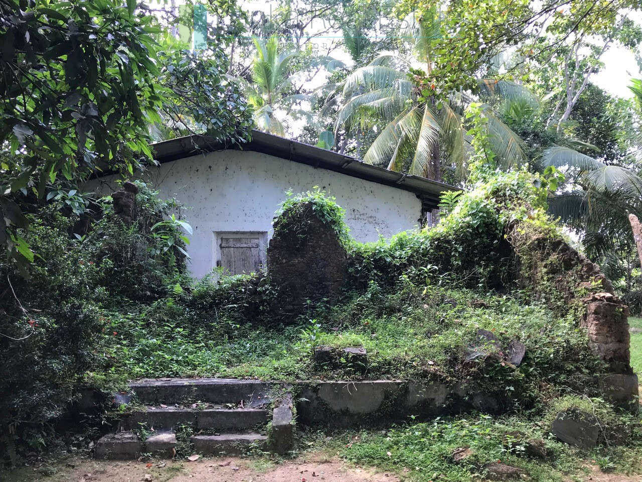 Good sized paddy view plot with house in Ginigala near Galle