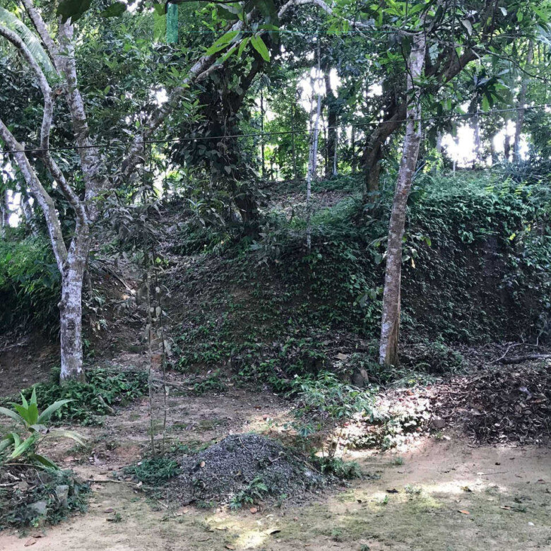 Good sized paddy view plot with house in Ginigala near Galle