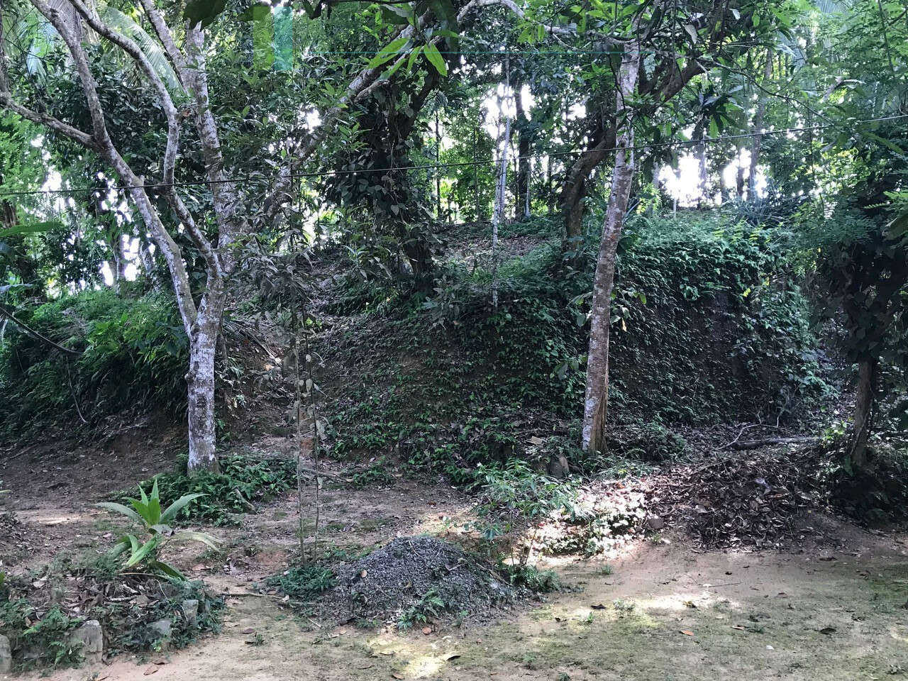 Good sized paddy view plot with house in Ginigala near Galle