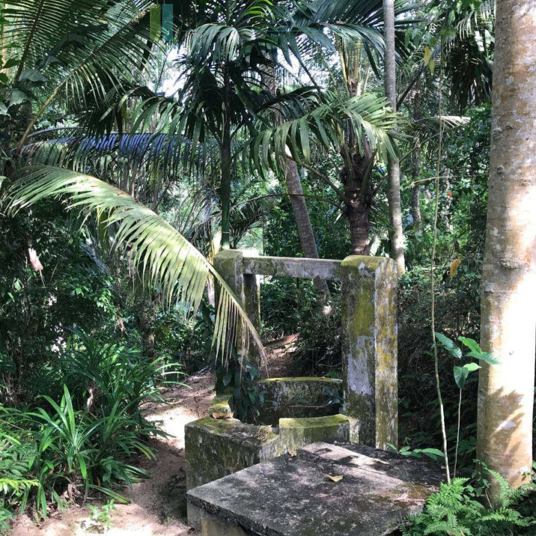 Good sized paddy view plot with house in Ginigala near Galle