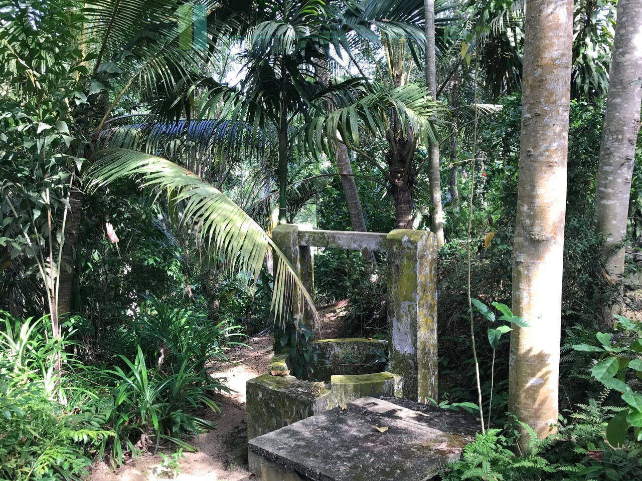 Good sized paddy view plot with house in Ginigala near Galle