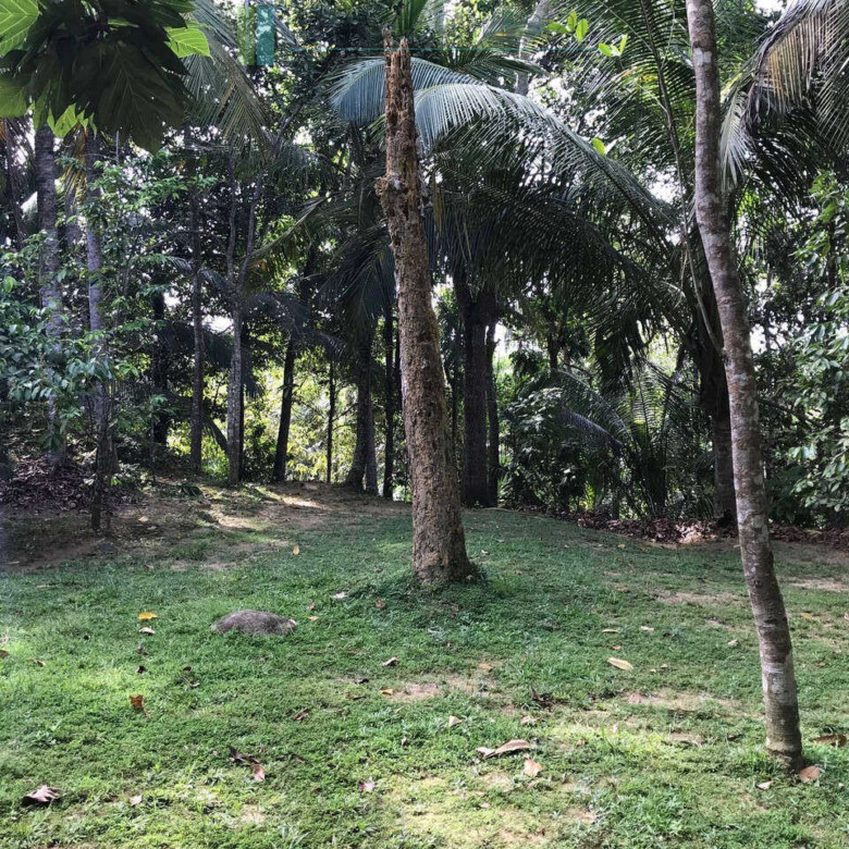 Good sized paddy view plot with house in Ginigala near Galle