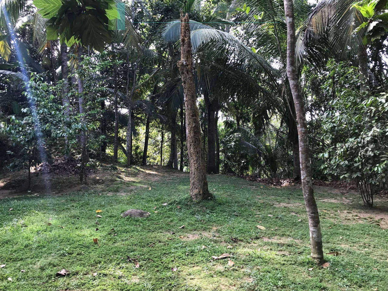 Good sized paddy view plot with house in Ginigala near Galle
