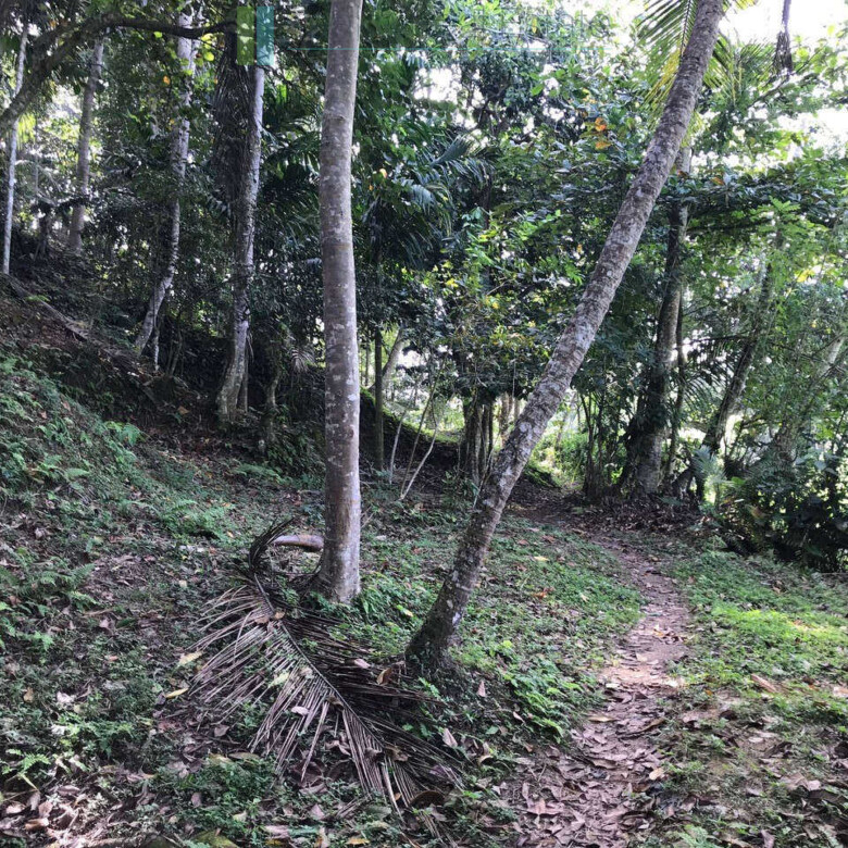 Good sized paddy view plot with house in Ginigala near Galle