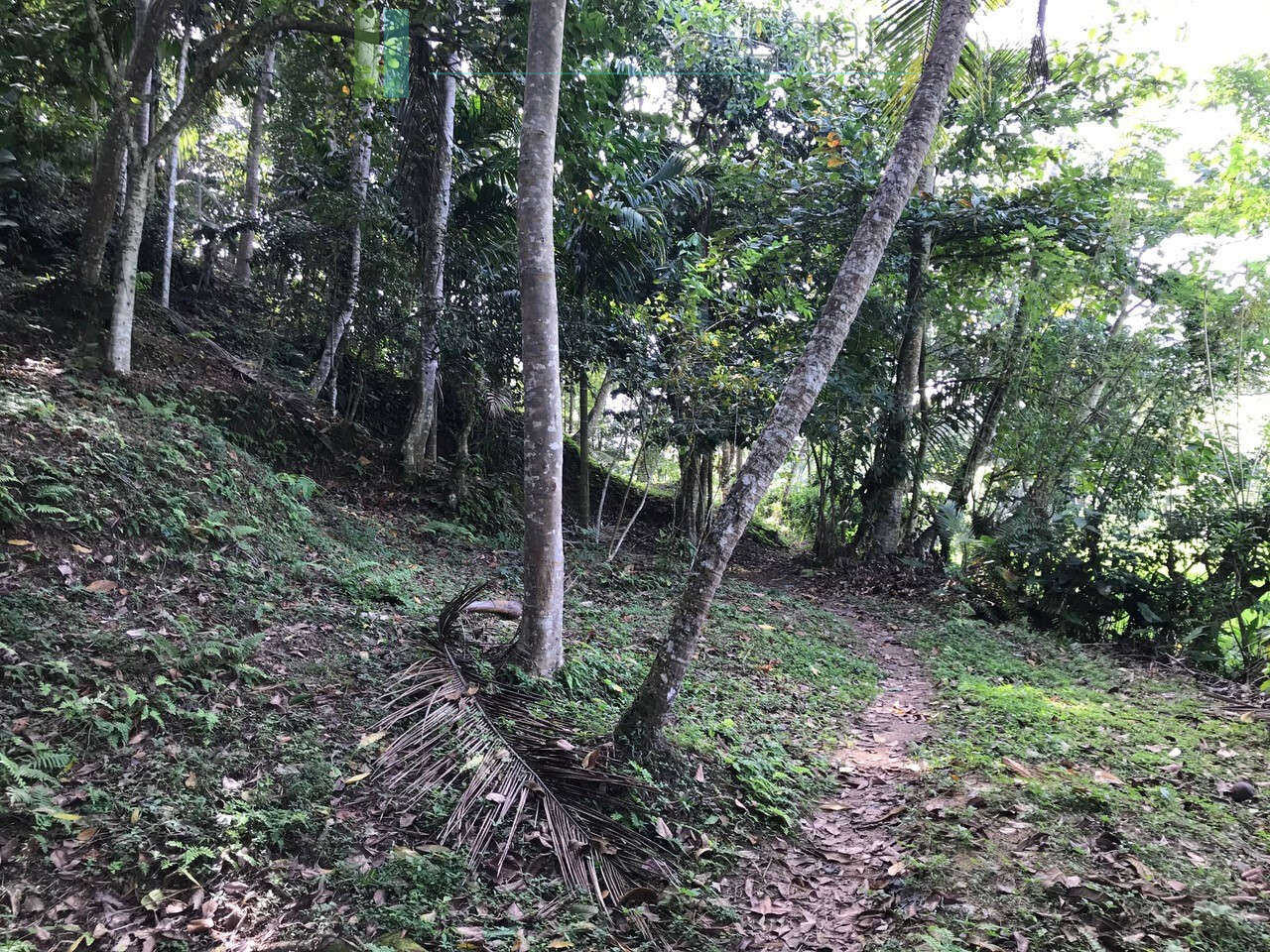 Good sized paddy view plot with house in Ginigala near Galle