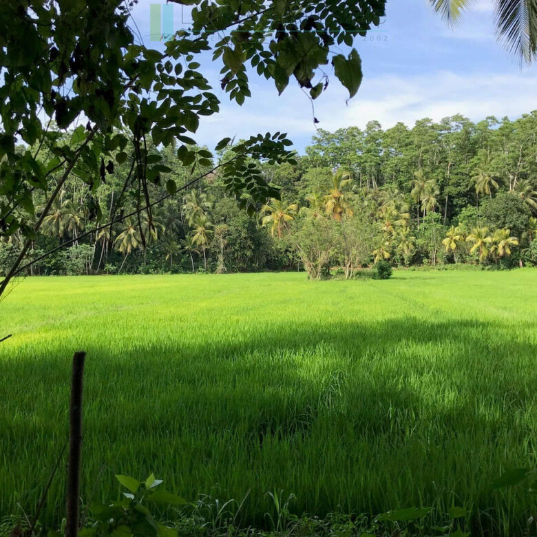 Good sized paddy view plot with house in Ginigala near Galle