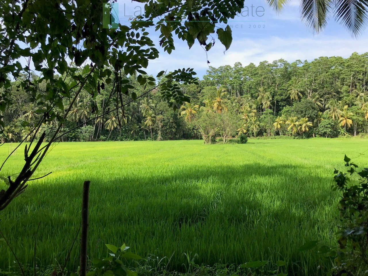 Good sized paddy view plot with house in Ginigala near Galle