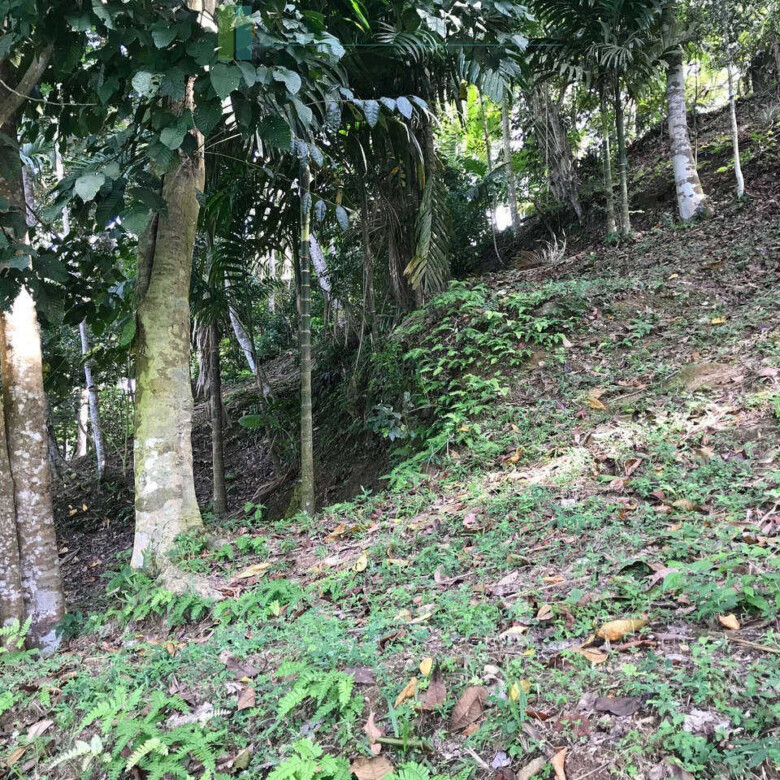 Good sized paddy view plot with house in Ginigala near Galle