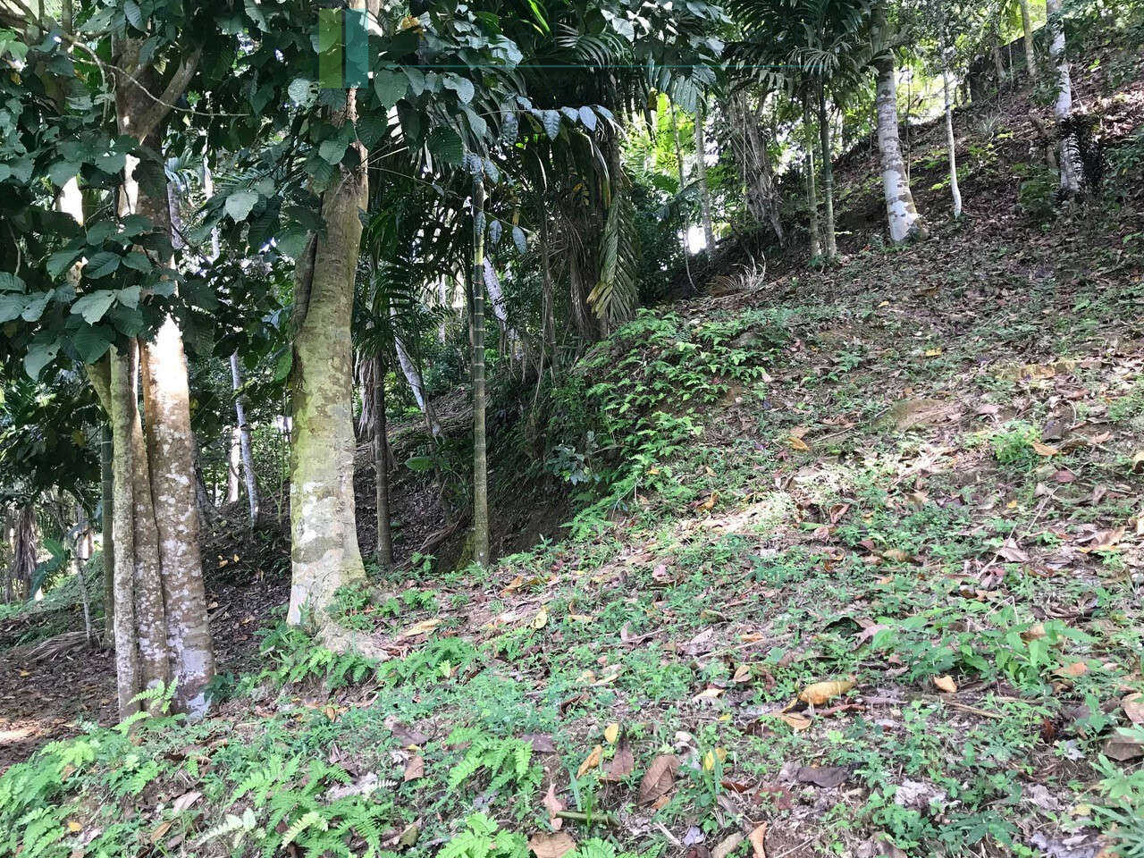 Good sized paddy view plot with house in Ginigala near Galle