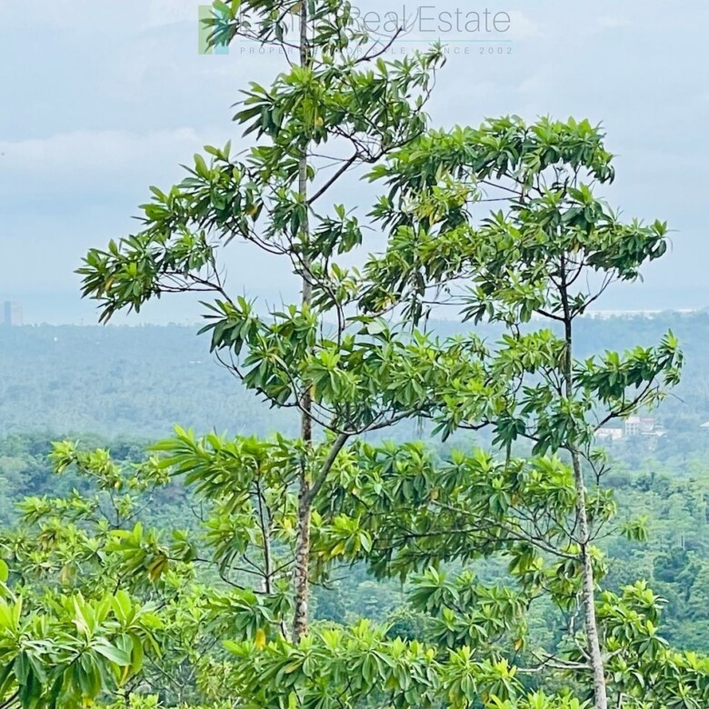 Ten acres with exceptional views over Weligama Bay