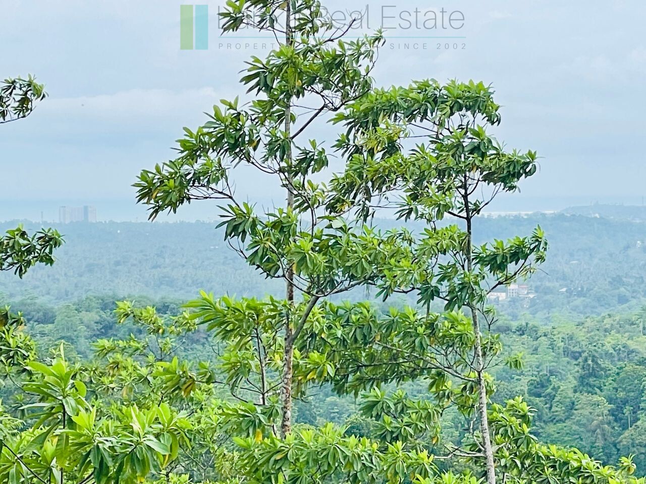 Ten acres with exceptional views over Weligama Bay