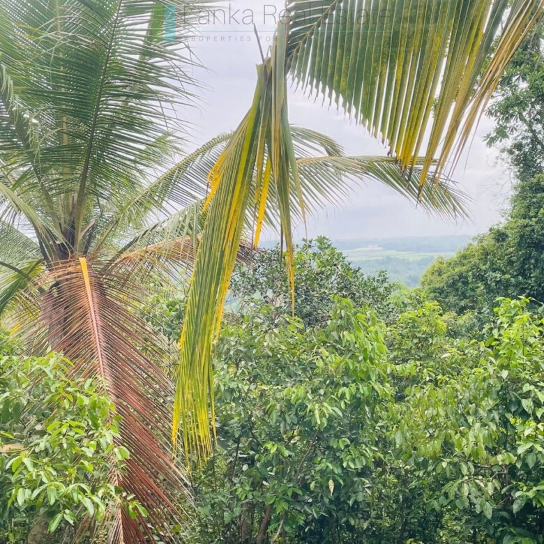 Ten acres with exceptional views over Weligama Bay