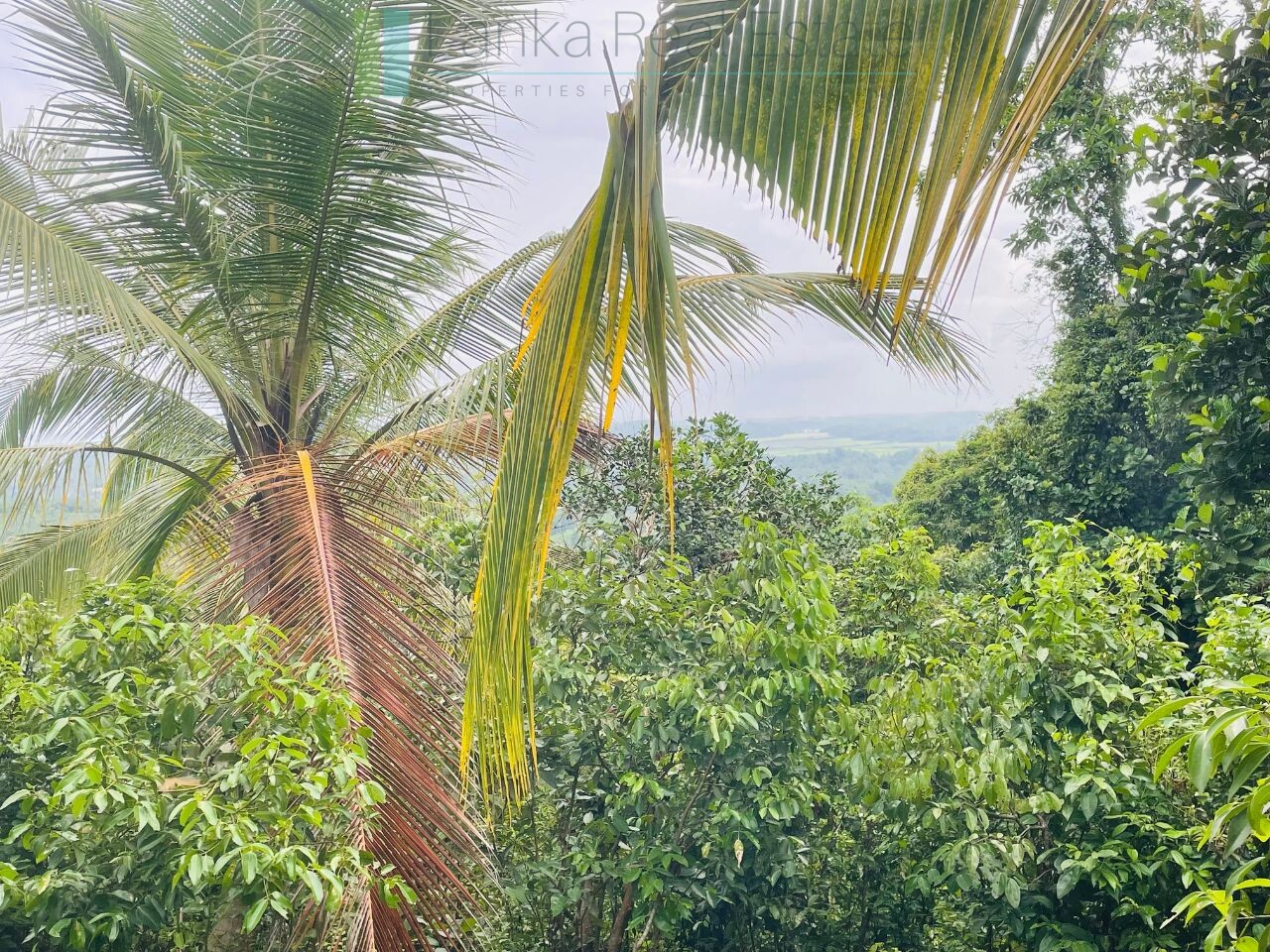 Ten acres with exceptional views over Weligama Bay