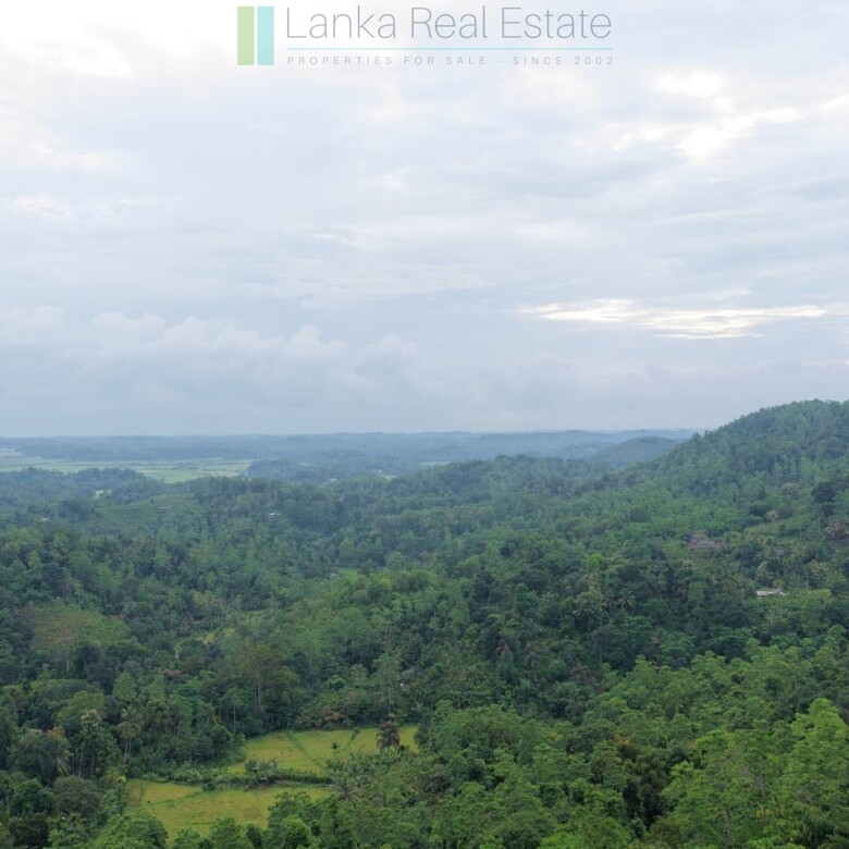 Large elevated development plot near Weligama Beach