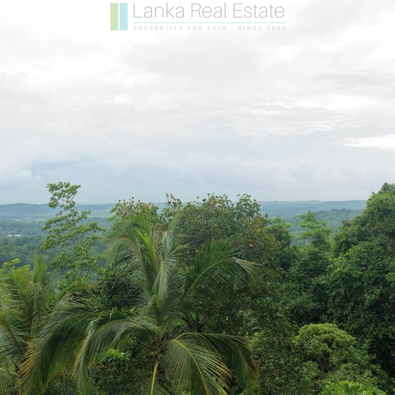 Large elevated development plot near Weligama Beach