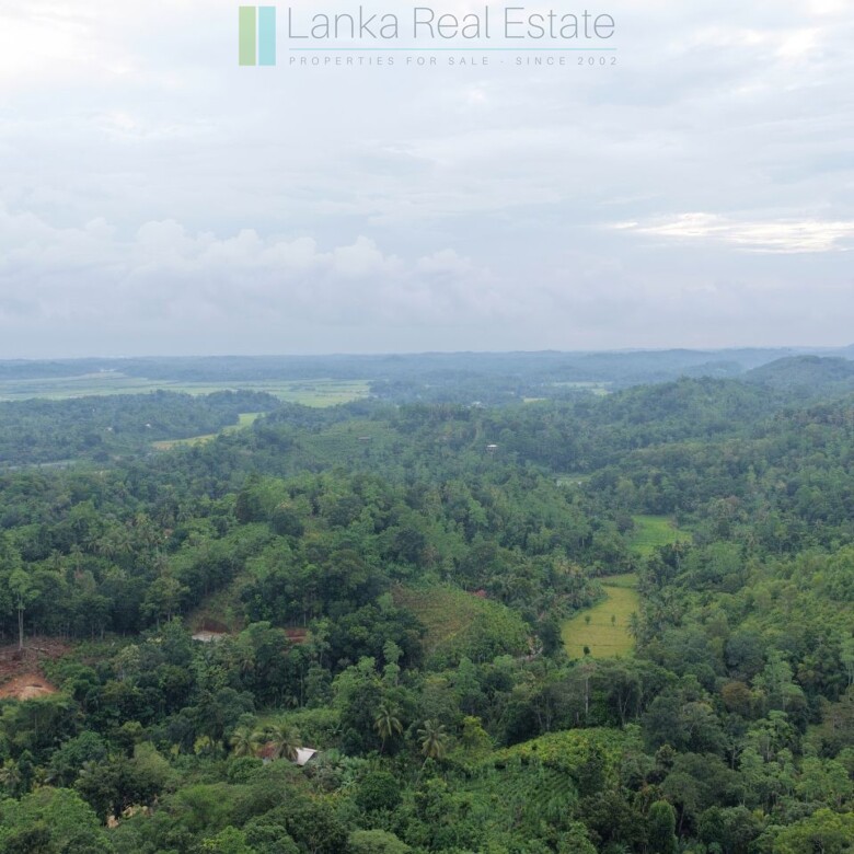 Large elevated development plot near Weligama Beach