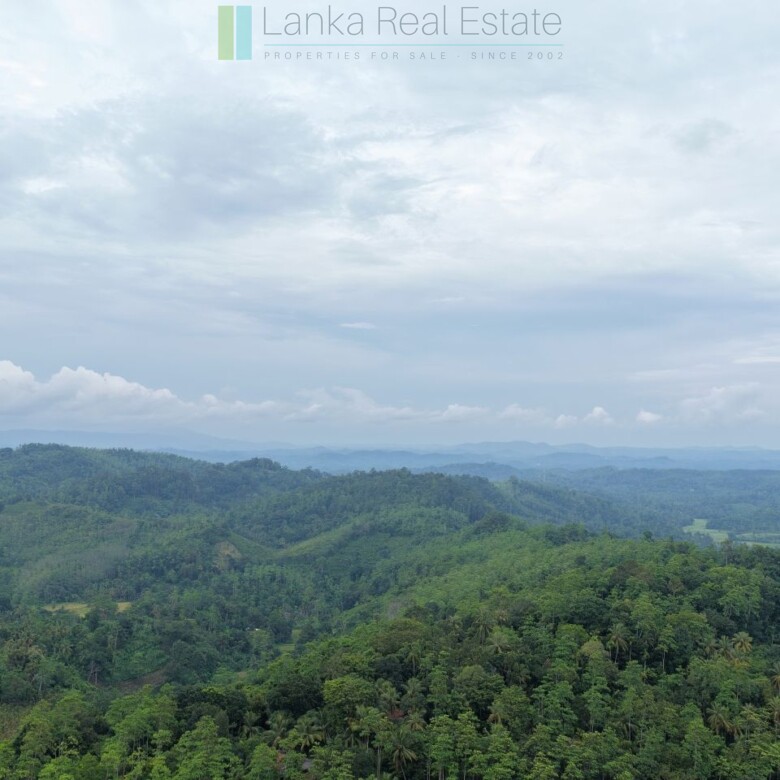 Large elevated development plot near Weligama Beach