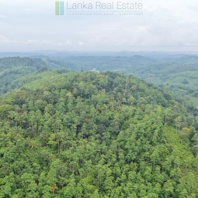 Ten acres with exceptional views over Weligama Bay