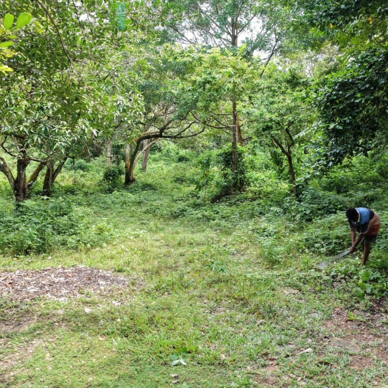 Serene wooded six acres on Koggala Lake