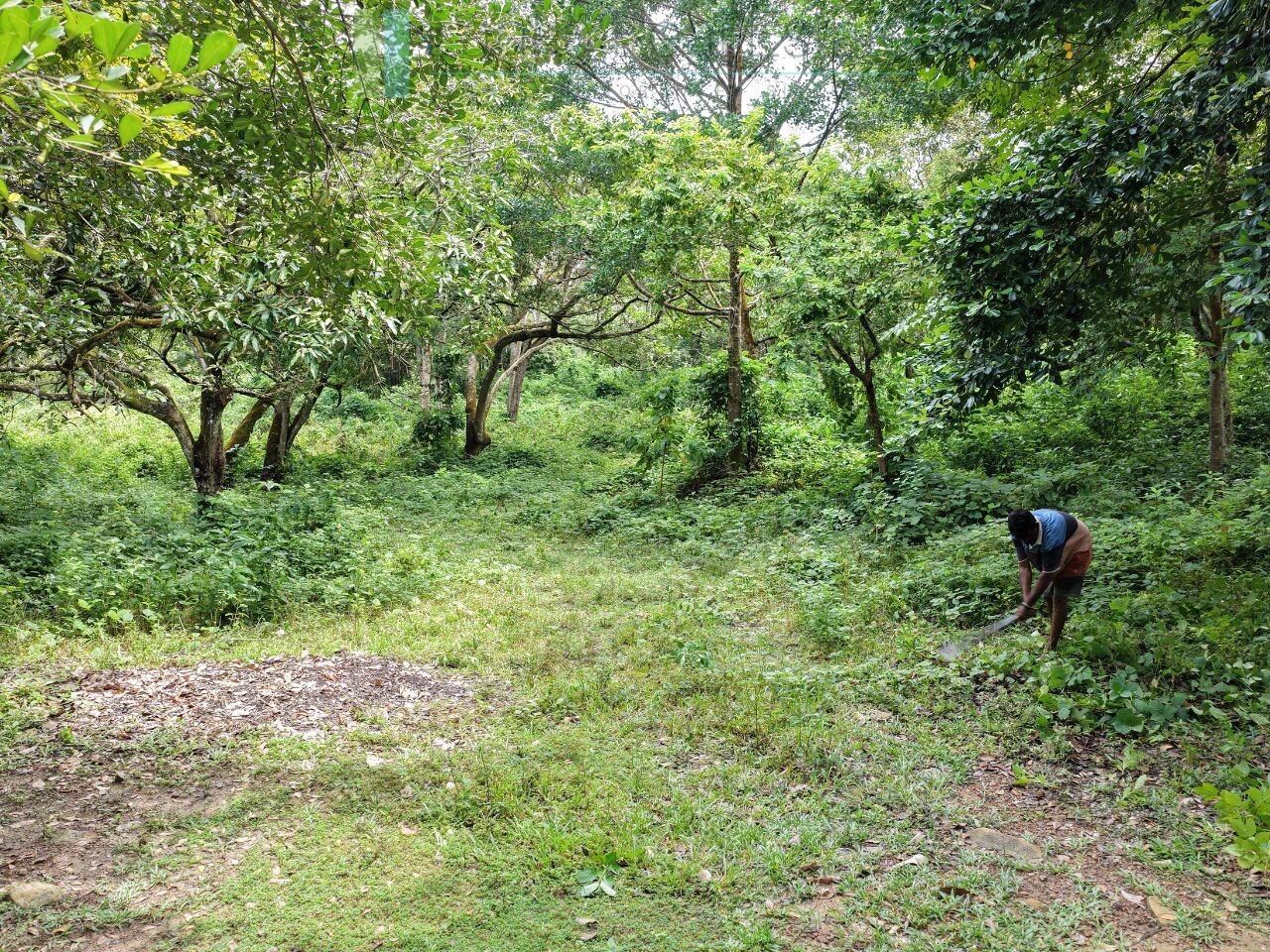 Serene wooded six acres on Koggala Lake