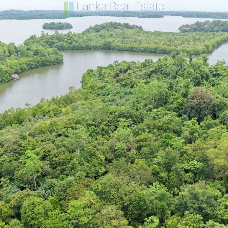 Serene wooded six acres on Koggala Lake