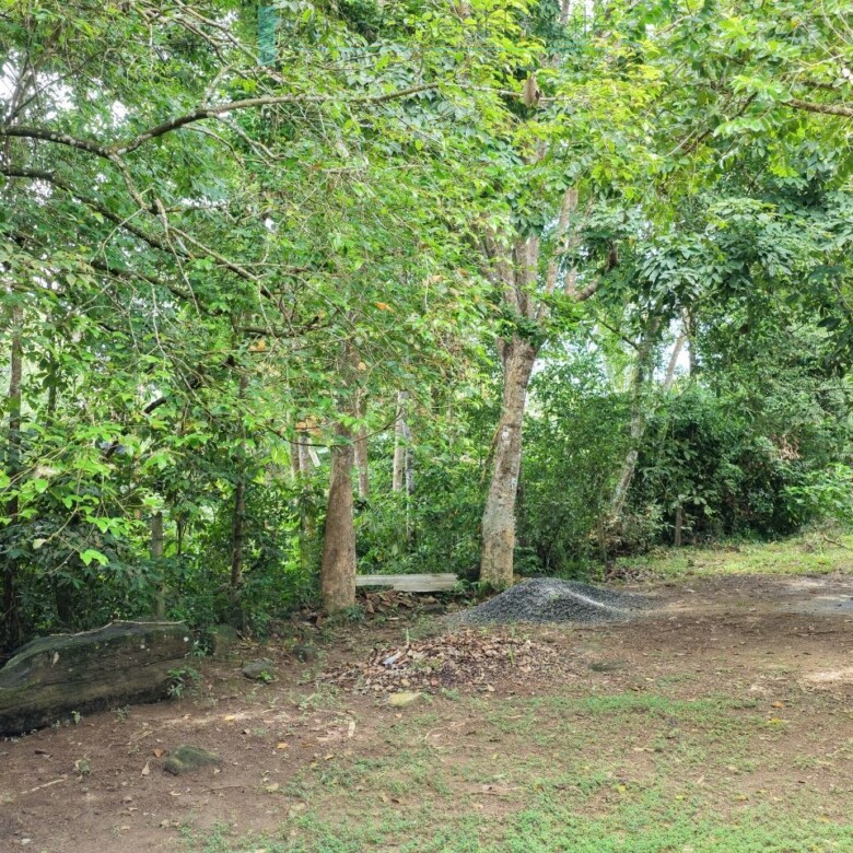 Serene wooded six acres on Koggala Lake