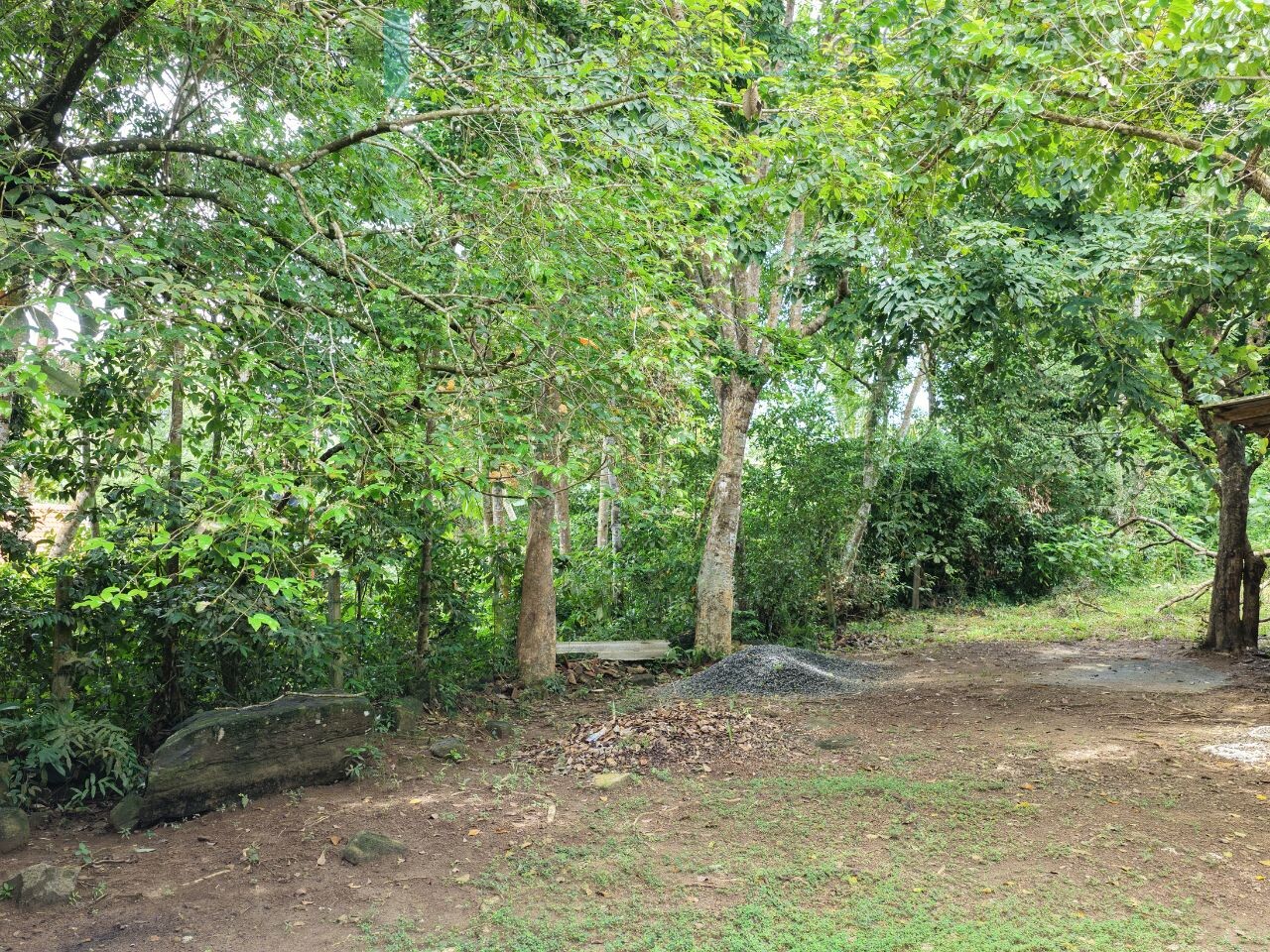Serene wooded six acres on Koggala Lake
