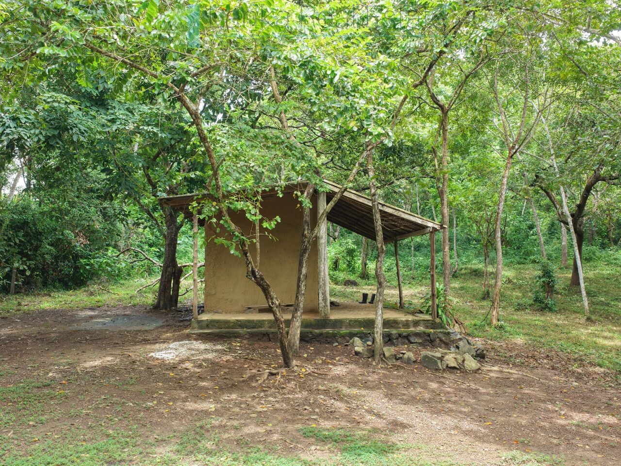 Serene wooded six acres on Koggala Lake