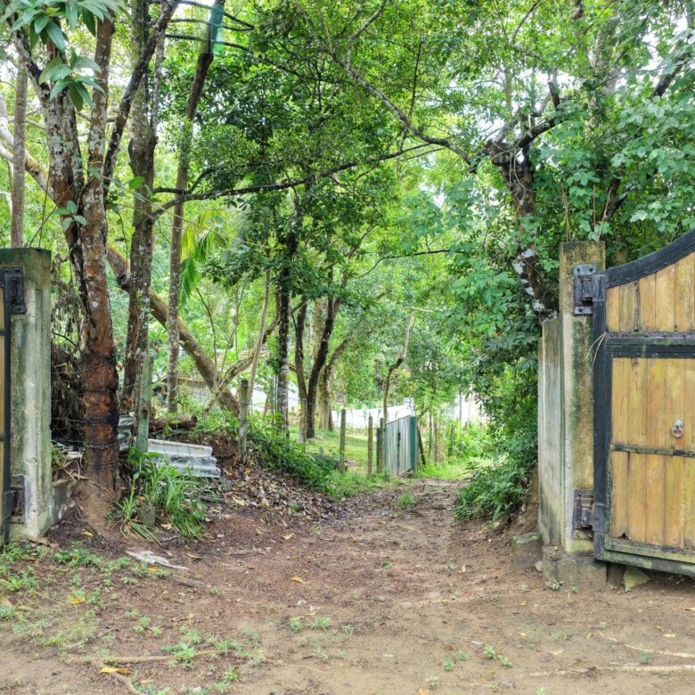 Serene wooded six acres on Koggala Lake