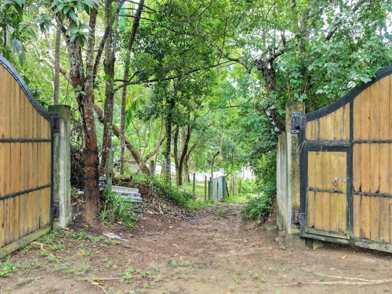 Serene wooded six acres on Koggala Lake