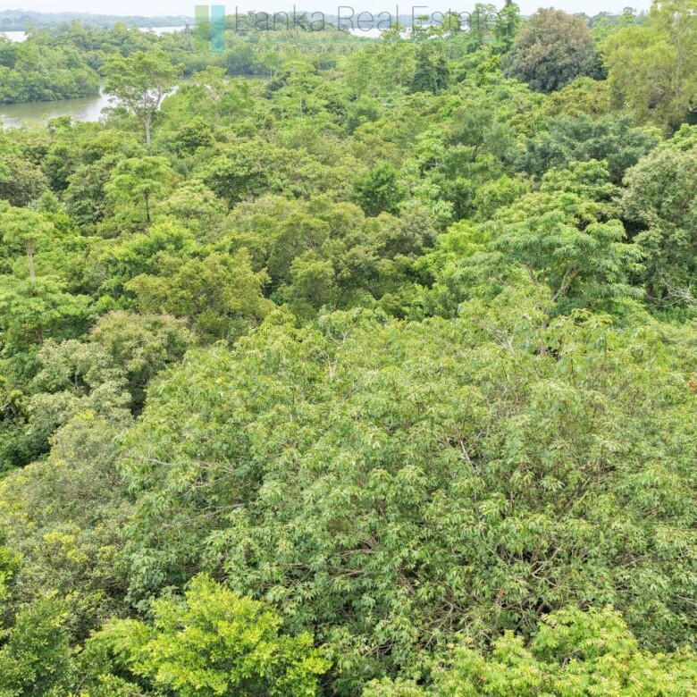 Serene wooded six acres on Koggala Lake