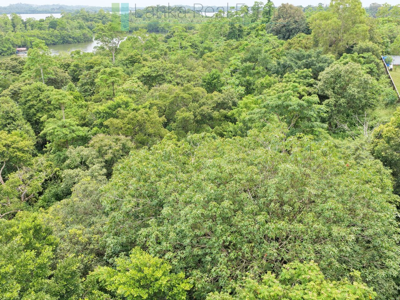 Serene wooded six acres on Koggala Lake