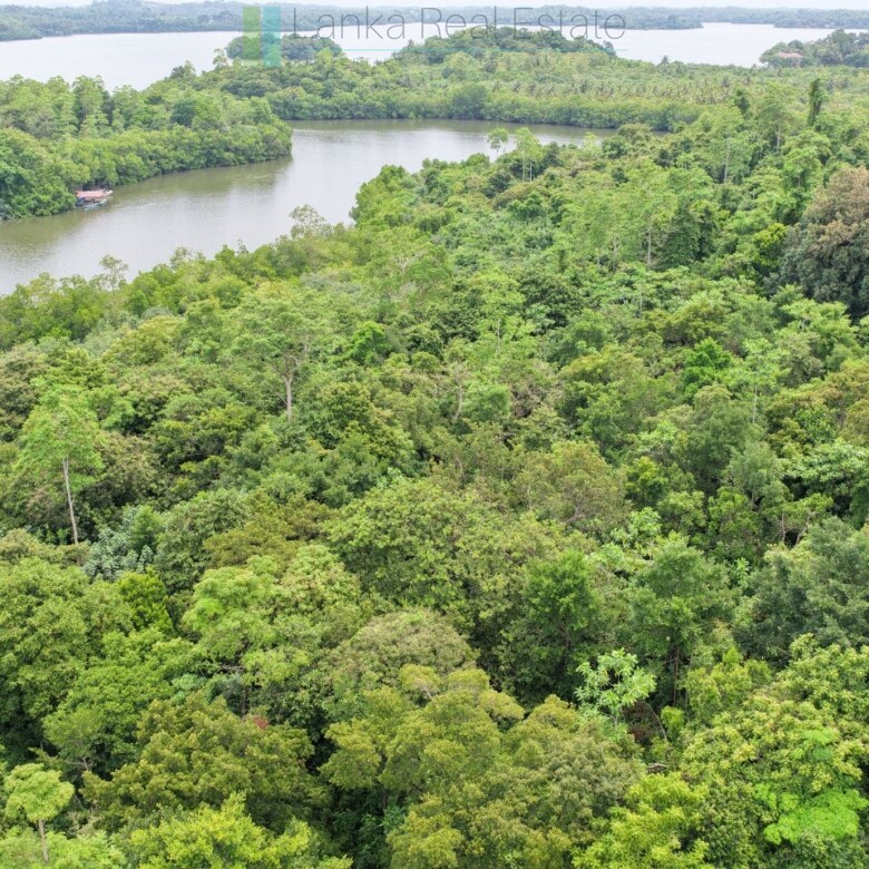 Serene wooded six acres on Koggala Lake