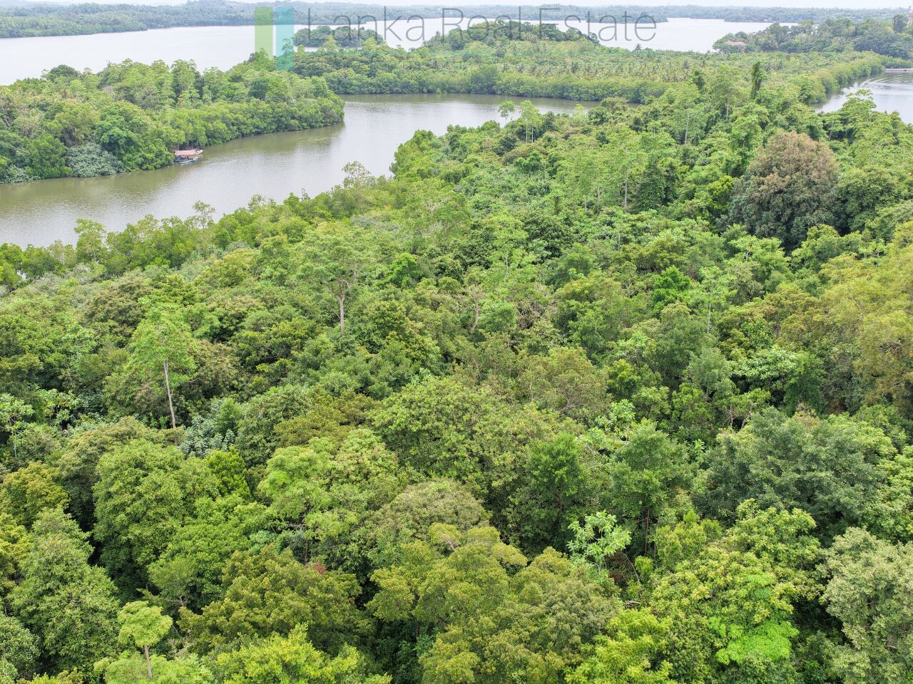 Serene wooded six acres on Koggala Lake