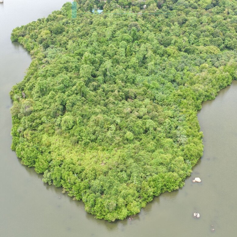 Serene wooded six acres on Koggala Lake