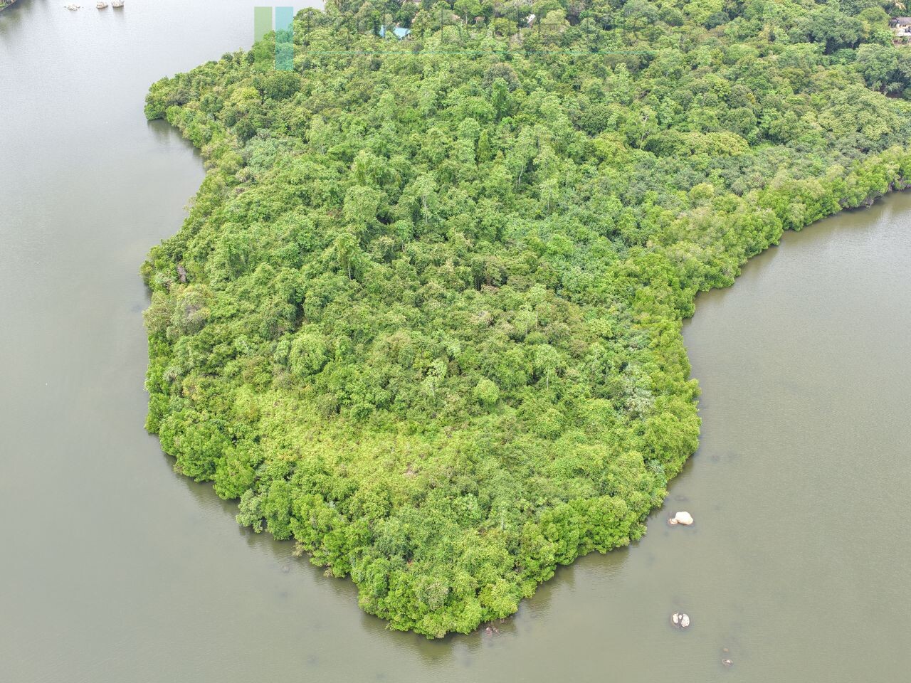 Serene wooded six acres on Koggala Lake
