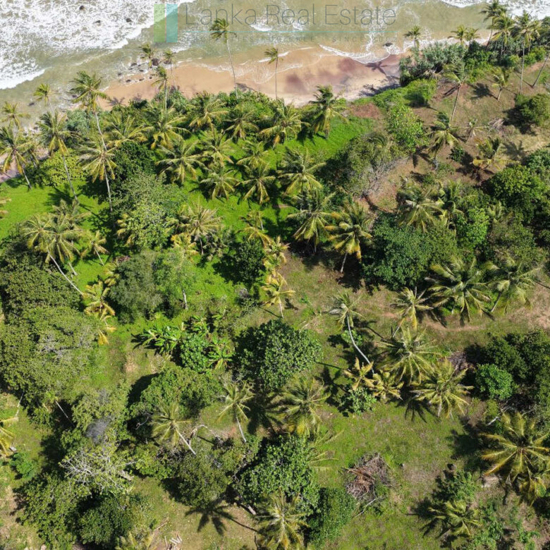 Stunning seven acre beachfront near Dikwella