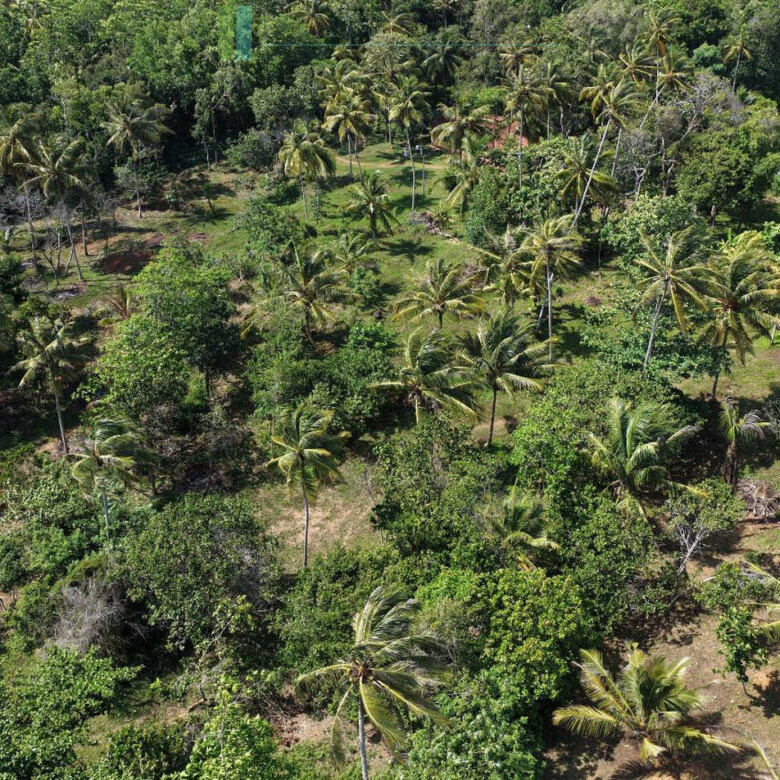 Stunning seven acre beachfront near Dikwella