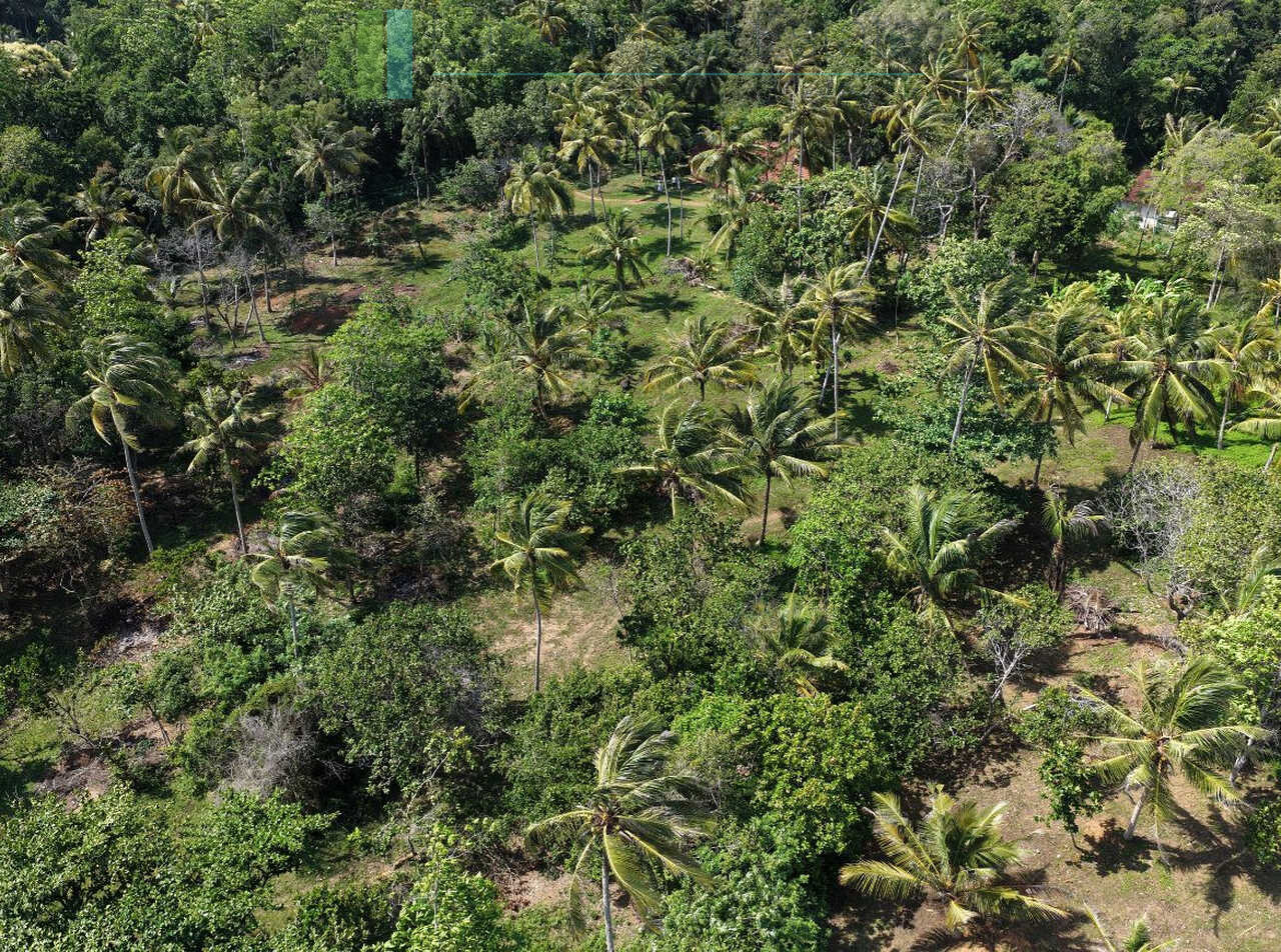 Stunning seven acre beachfront near Dikwella