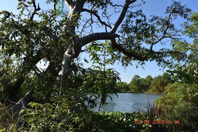 East Coast 20 acres with beach and lagoon frontage