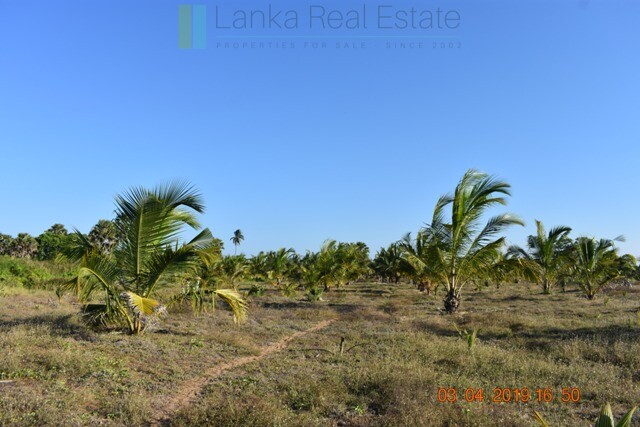 East Coast 20 acres with beach and lagoon frontage