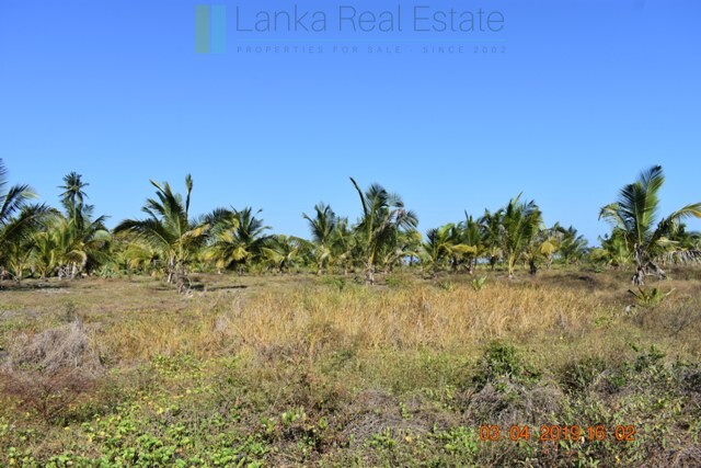 East Coast 20 acres with beach and lagoon frontage