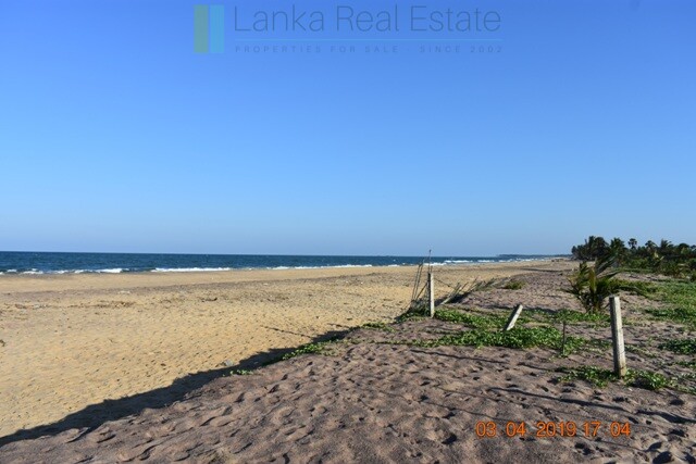 East Coast 20 acres with beach and lagoon frontage