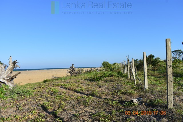 East Coast 20 acres with beach and lagoon frontage