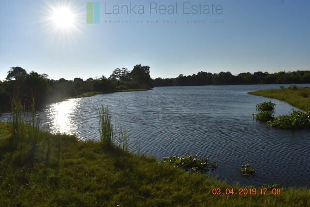 East Coast 20 acres with beach and lagoon frontage