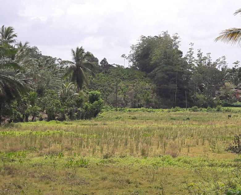 Elevated beach development land