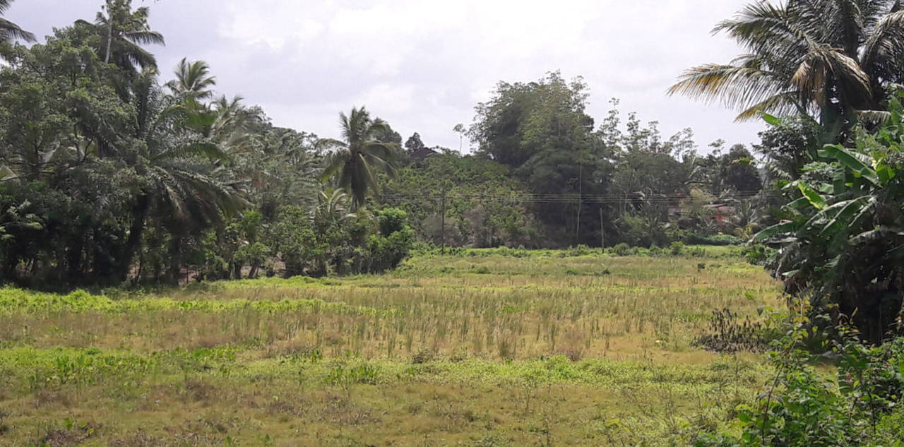 Elevated beach development land